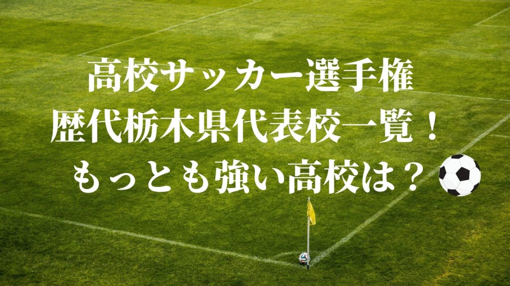 高校サッカー選手権 歴代栃木県代表校一覧 もっとも強い高校は サッカーぶんがく